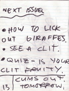 Fruity-Chunks-14